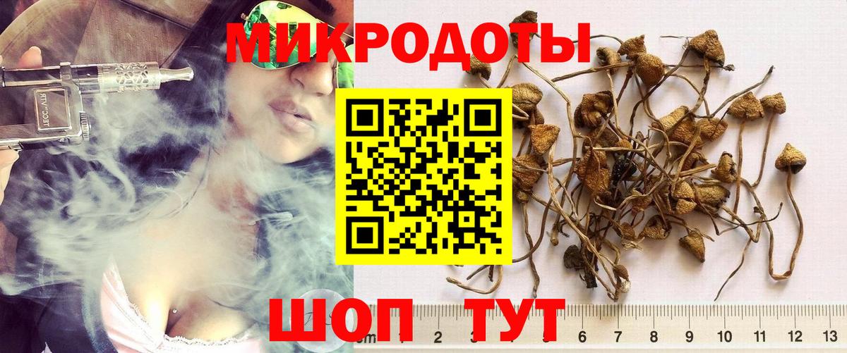 Галлюциногенные грибы Psilocybine cubensis  где можно купить наркотик  Избербаш  Вход с VPN  Галлюциногенные грибы прущие грибы 